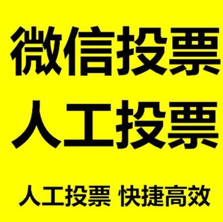 咸宁市小程序人工投票是真的还是假的？
